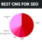 best cms for seo