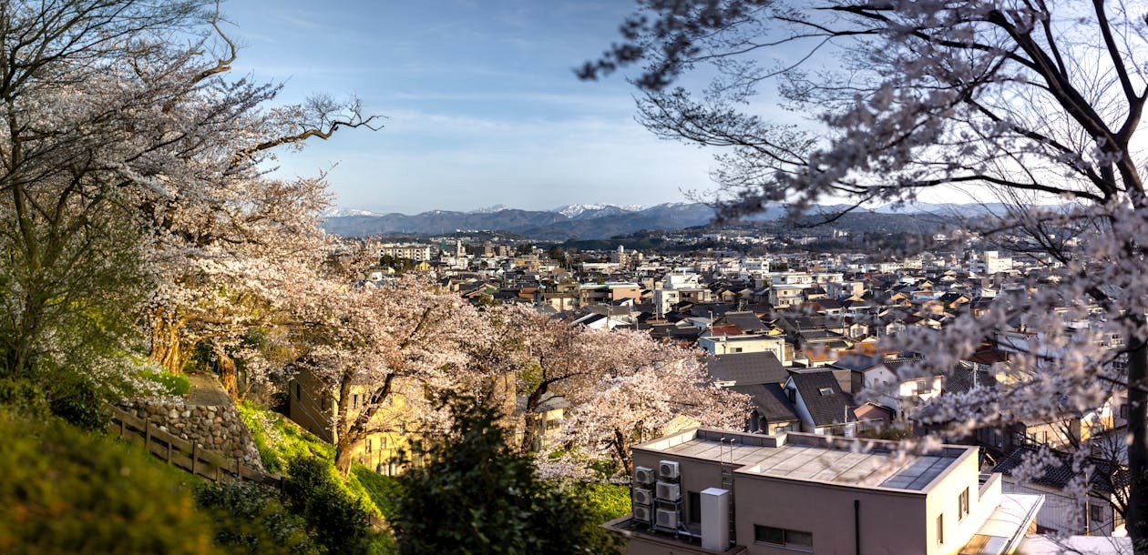 【石川 Web集客】伝統工芸×観光資源で実現する地域密着型デジタルマーケティング戦略|最新版 32 free photo of cherry blossom ove