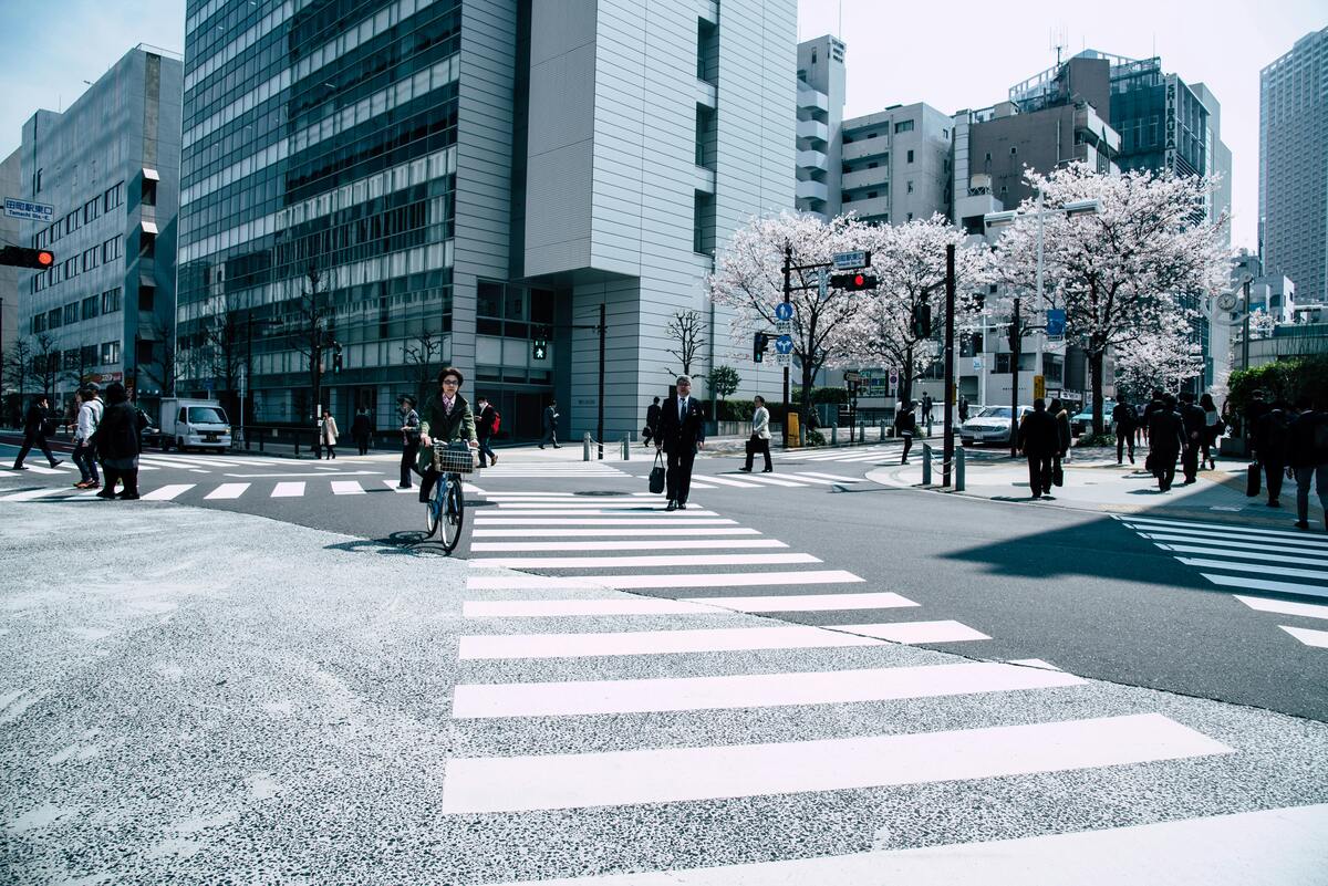 2025年最新【福井県Web集客戦略】成功企業の手法を完全解説 32 pexels abby chung 371167 1191377 1