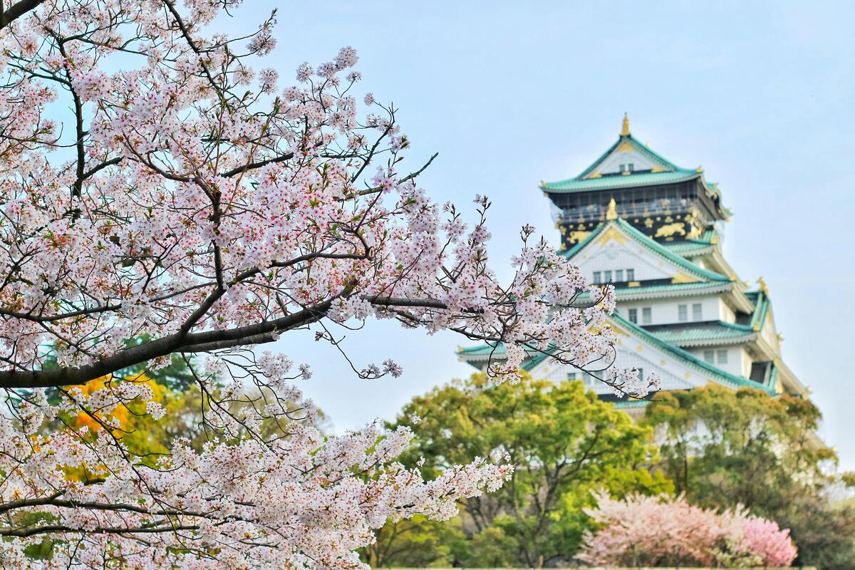 2025年版【関西圏のWeb集客完全ガイド】地域性を活かしたデジタルマーケティング 56 pexels bagus41 1440476 1