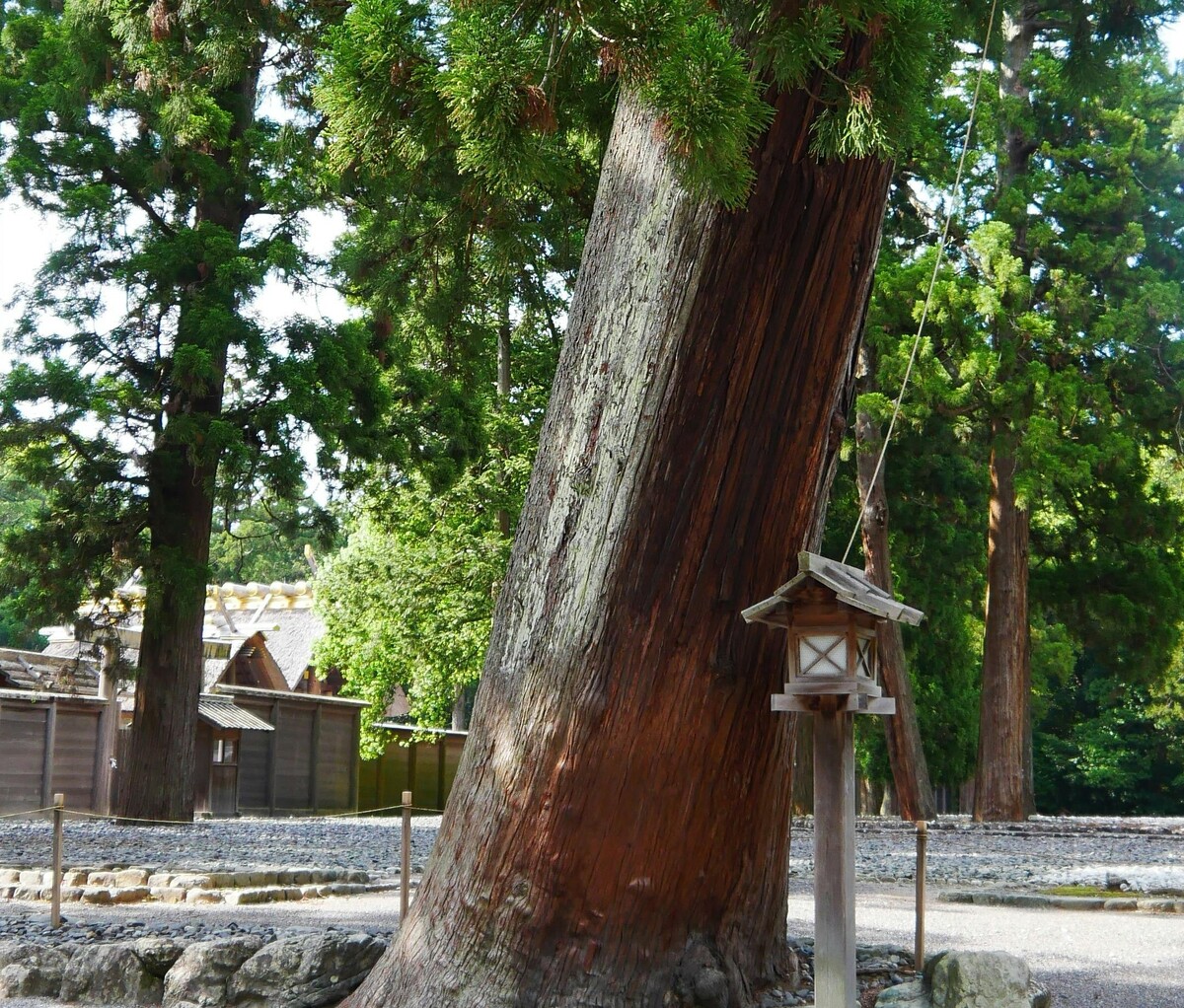 【三重県のWeb集客完全ガイド】地域特性を活かした効果的なデジタルマーケティング戦略 40 pexels nicolas vignot 1485599304 28399184 1